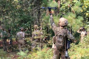 3bct ftx panther avalanche